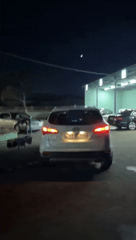 Hyundai Hyundaisantafe GIF