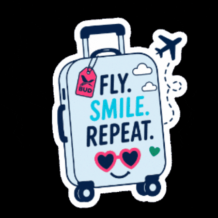 Travel Smile GIF by Budapest Airport