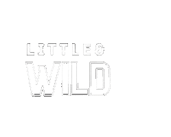 Sticker by Fivelittlewildlings