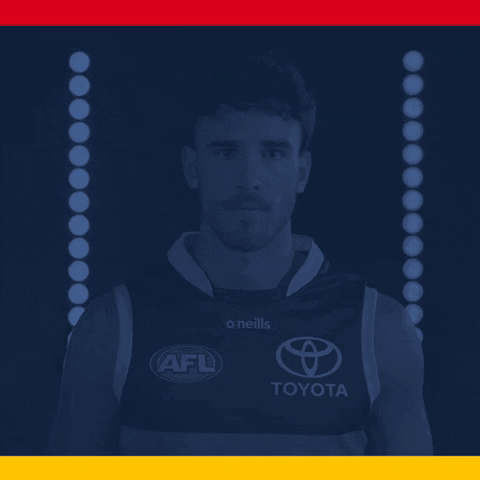 Afl GIF by Adelaide Crows