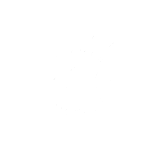 Bristol Bay Sockeye Salmon Sticker