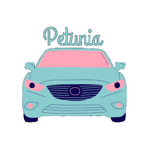 Wedding Cabina De Fotos Sticker by Baires Photobooth