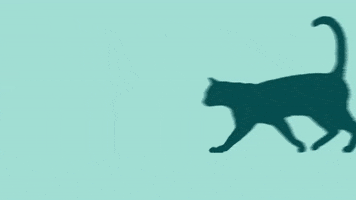 ACANA_UK GIF
