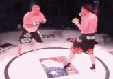 mixed martial arts