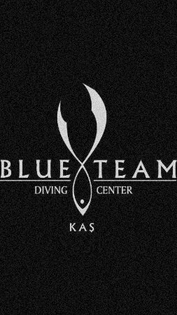 Blueteam Dalış GIF