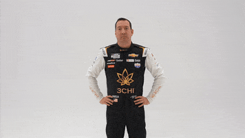 Kyle Busch Point GIF by Richard Childress Racing