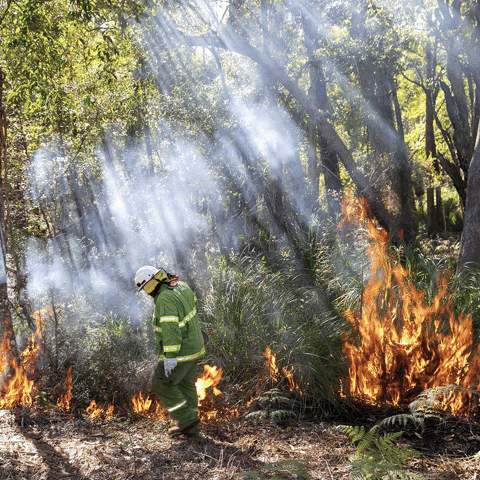 WWF Verdensnaturfonden / WWF-Denmark GIF