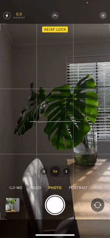GIF by sharenoevil