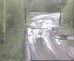 Fire GIF