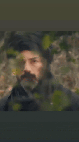 Fatvius Flavius Kurulusorhan GIF