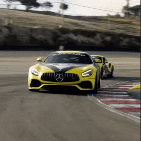 Racing Race GIF by Dunlop Tire NA