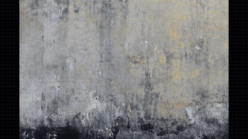 heyfcoe  GIF