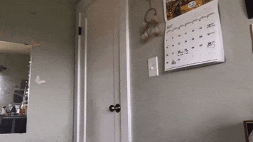 NVHC GIF