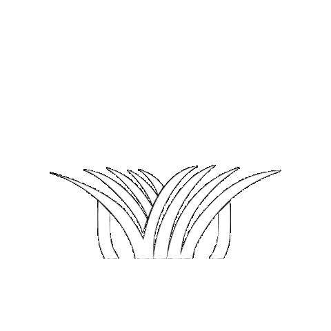 Stampede Hybrid Sticker by Lawn Solutions Australia