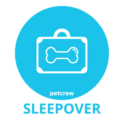 Sleepover Sticker by Petcrew_co