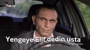 Yengeye Elif Dedin Usta GIF