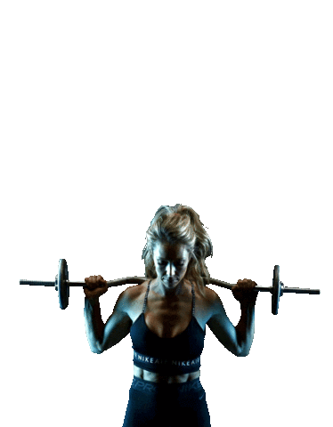 NL3 Training Sticker