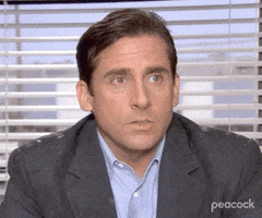 Season 4 Computers GIF by The Office