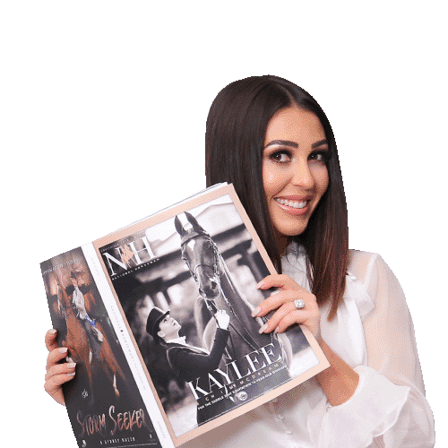 NHProduction Sticker