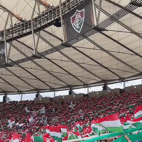 Sport Soccer GIF by Fluminense Football Club