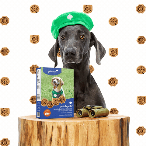 Cookie GIF by Girl Scouts