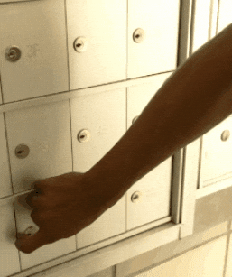 Antoinette Media GIF