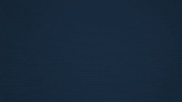Bitcoin Crypto GIF by eToro
