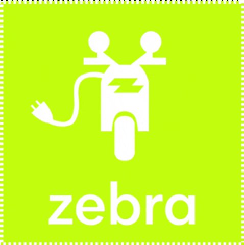Electric Scooter GIF by Zebra