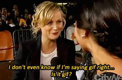 amy poehler
