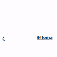 FEMAAssis GIF