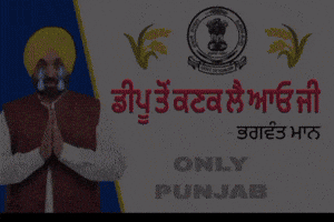 Moose Wala Wifi GIF