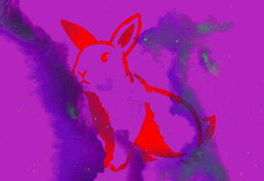 miggsmendoza trippy bunny rabbit white rabbit GIF