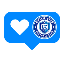 Soccer City Sticker by Utica Comets