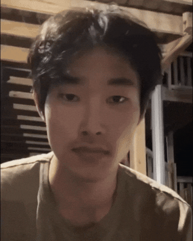 What The Hell Wtf GIF