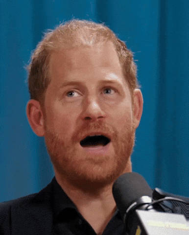 Im Sorry What Prince Harry GIF