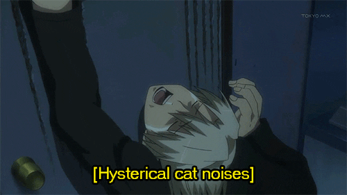 mfw