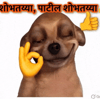 Marathi Patil GIF by canwetech