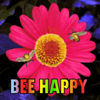 Présentation Alex Versus World 200.gif?cid=af3708f38bfp8ebr45dr5ra0ayg5m9ao1xygjk3vatkmie7e&rid=200