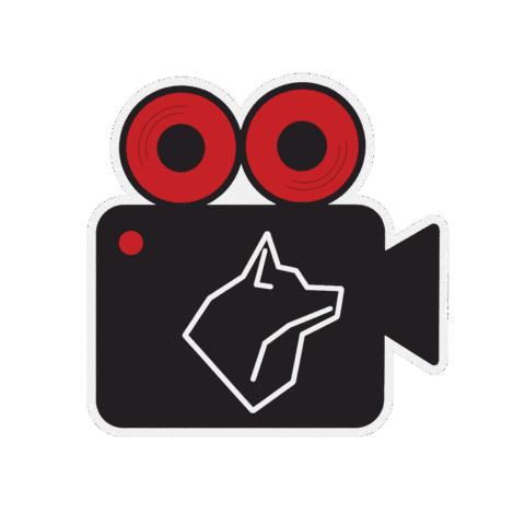 Camera Shooting Sticker by Wolf Media