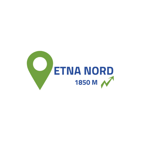 Piano Provenzana Sticker