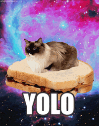 And Yolo GIFs - Find & Share on GIPHY