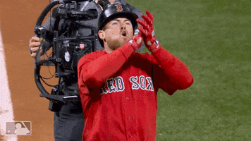 Boston Red Sox Sport GIF by MLB