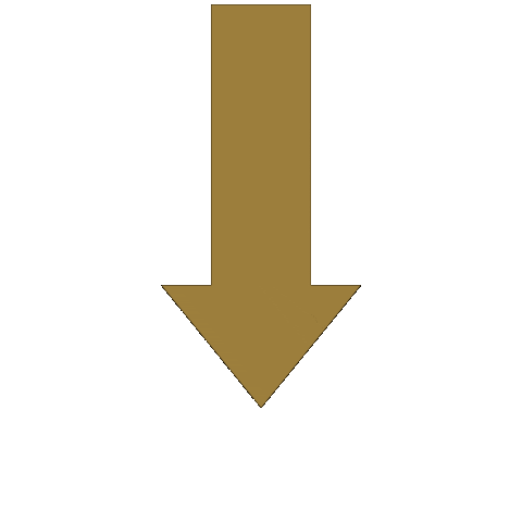 Thomastikstrings Sticker by Thomastik-Infeld