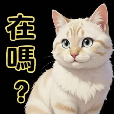 Cat GIF