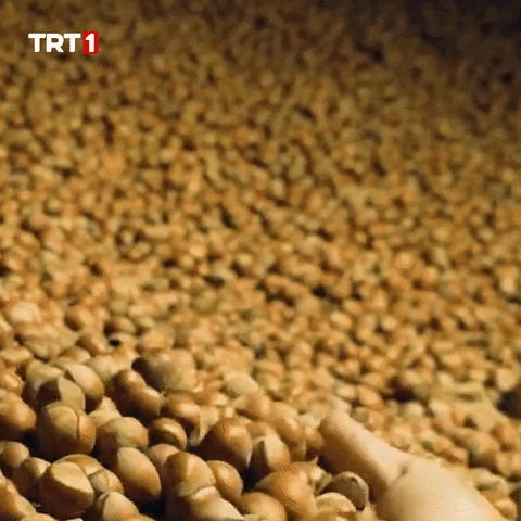 Hungry Loop GIF by TRT