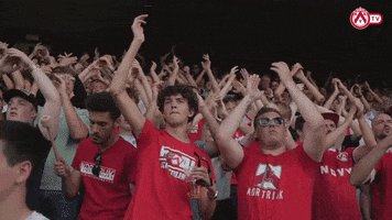 Fans Kvk GIF by KV Kortrijk