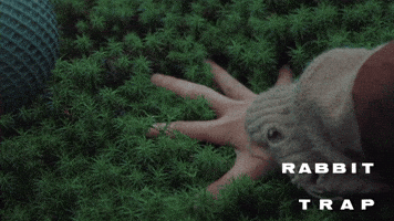 Plant Satisfying GIF by Magnolia Pictures
