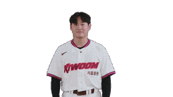 Kbo Sticker by Kiwoom Heroes Baseball Club