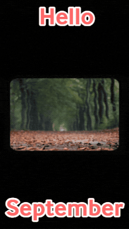 Falling Leaves September GIF by TeaCosyFolk