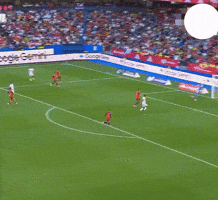 Iraq GIF